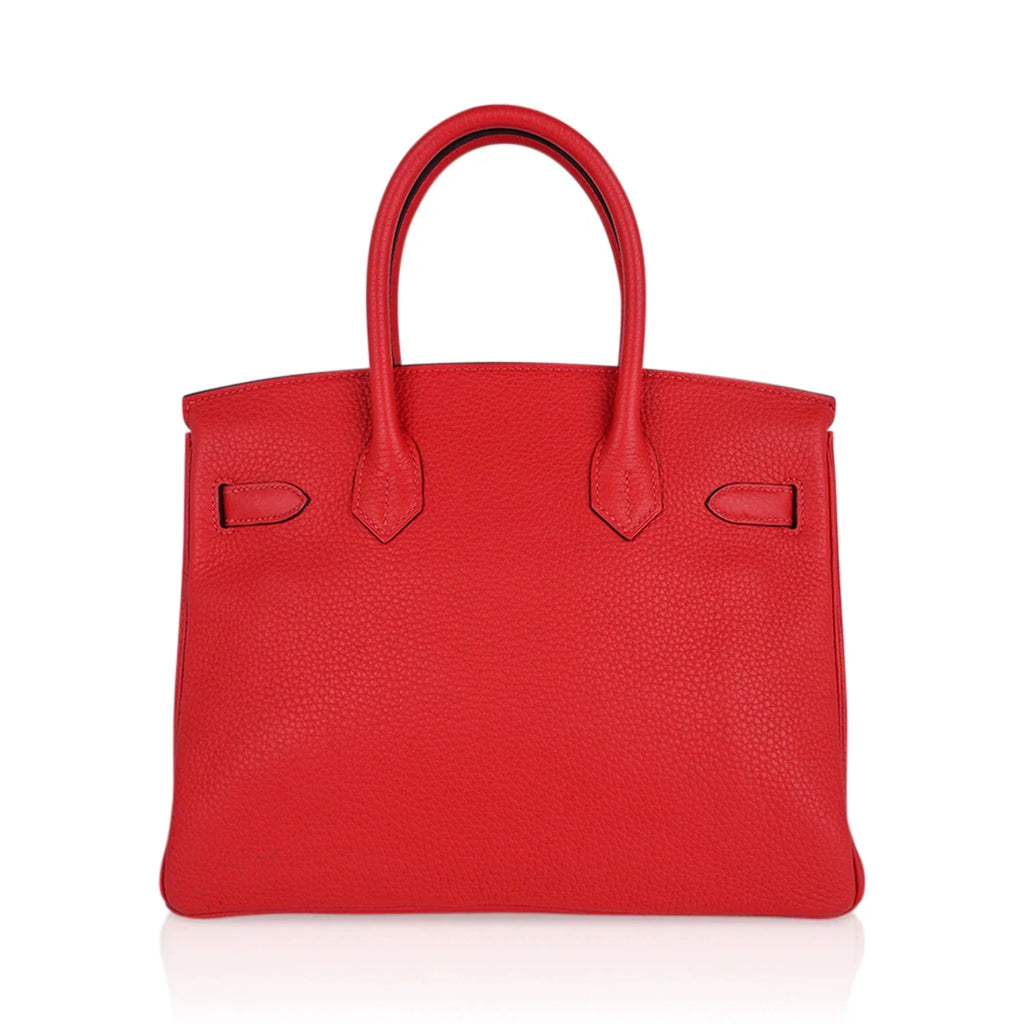 Birkin 30 Capucine Bag Togo Leather Gold Hardware