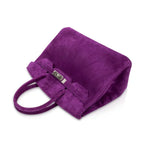Birkin 30 Bag Rare Doblis Violet Palladium Hardware