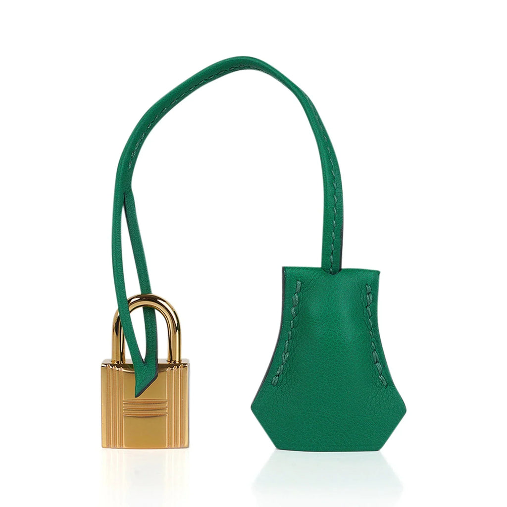 Birkin 25 Bag in Cactus Swift Leather with Gold Hardware