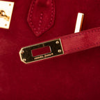 Birkin 25 Doblis Bag Rouge Vif Suede Gold Hardware