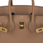 Birkin 25 Bag in Chai Togo Leather with Gold Hardware