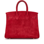 Birkin 25 Palladium Hardware Rouge Vif Doblis