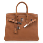 Limited Edition Birkin 35 Bag Fauve Barenia Faubourg Leather with Palladium Hardware