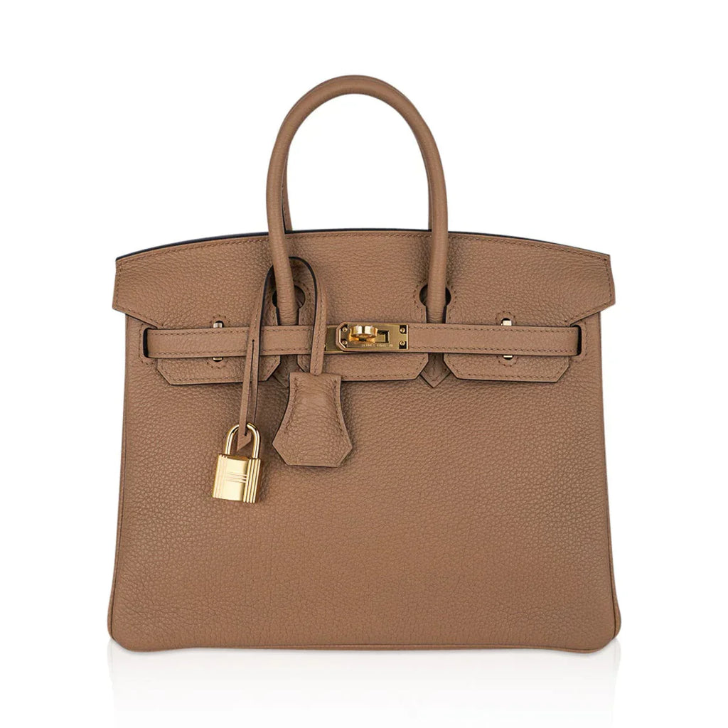 Birkin 25 Bag in Chai Togo Leather with Gold Hardware