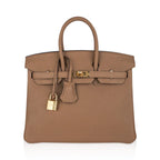 Birkin 25 Bag in Chai Togo Leather with Gold Hardware
