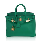 Birkin 25 Bag in Cactus Swift Leather with Gold Hardware