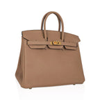 Birkin 25 Bag in Chai Togo Leather with Gold Hardware