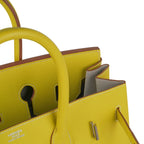Birkin 35 Lime Candy Limited Edition Bag Epsom Palladium