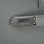 Birkin 25 Bag Vert Amande Togo Palladium Hardware